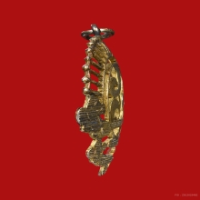 เหรียญสมเด็จเจ้าฟ้าสุทธาทิพย์รัตน กรมหลวงศรีรัตนโกสิทร