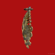 เหรียญสมเด็จเจ้าฟ้าสุทธาทิพย์รัตน กรมหลวงศรีรัตนโกสิทร