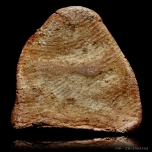 พระกำแพงหน้าโหนก เนื้อดิน สวยหูตากระพริบ