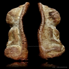 พระกำแพงหน้าโหนก เนื้อดิน สวยหูตากระพริบ