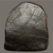 พระผงสิงห์เกษร ว่าน108ชนิด ปี2503 หลวงพ่อเกษมเขมโก