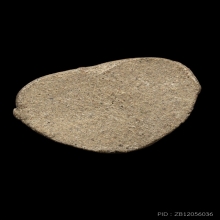 +บัตรสมาคม หลวงปู่ทวดเนื้อว่าน เครื่องบินตก สะบ้าย้อย