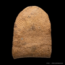 +บัตรสมาคม พระรอดวัดพระสิงห์ พิมพ์กลาง