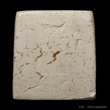 +บัตรสมาคม สมเด็จวัดระฆัง 100 ปี พิมพ์สมเด็จโต