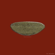 *แชมป์* พระชัยวัฒน์หลังยันต์อุ พิมพ์ใหญ่ หลวงพ่อแฉ่ง