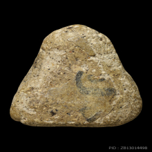 ปิดตาหัวบานเย็นหลวงปู่เอี่ยม วัดหนัง