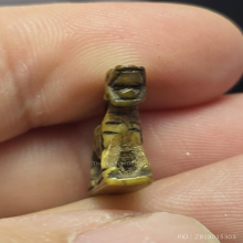 สิงห์ หลวงพ่อมุ่ย วัดดอนไร่