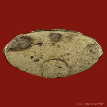 กริ่งกรรมการ วัดดอน พ.ศ. 2480 สวย