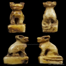 เสือหลวงพ่อปาน ศิลปะวัดกลาง  (ขนาดสาริกา)