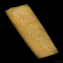 สิงห์ หลวงพ่อมุ่ย วัดดอนไร่