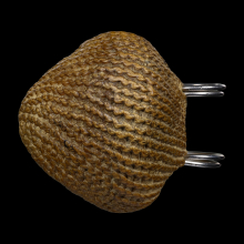 เบี้ยแก้หลวงปู่เพิ่ม วัดกลางบางแก้ว รุ่นแจกกฐินโทเร ปี16