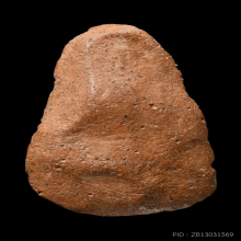 ท่ามะปราง กรุสำปะซิว 