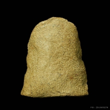 พระรอดแสงตา กรุวัดมหาวัน จ.ลำพูน เนื้อดินสีพิกุล ปี2470