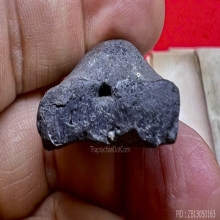 ลป.ศุข ปากคลองมะขามเฒ่า ออกวัดประสาท 2506 เดิมๆแห้งดูง่าย