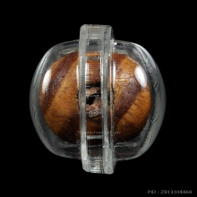 น้ำเต้าดูดทรัพย์ไม้มะยมตายพราย ฝังตะกรุด ล.ป.บุญ