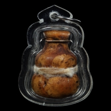 น้ำเต้าดูดทรัพย์ไม้มะยมตายพราย ฝังตะกรุด ล.ป.บุญ