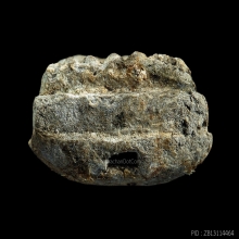 หลวงปู่ทวดวัดประสาทบุญญาวาส ปี 2506 สวยแชมป์