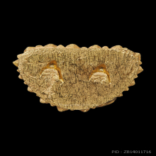 เจ้าแม่กวนอิม ปี 2536 เนื้อทองคำ หลวงพ่อเกษม เขมโก