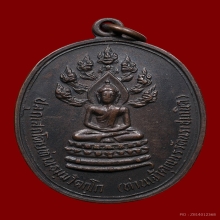 เหรียญนาคปรกจเรเจ้าคุณนรฯ วัดเทพศิรินทร์