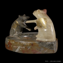 หนู แมว หลวงพ่อสนิท วัดลำบัวลอย