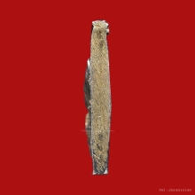 เหรียญกรมหลวงชุมพร เนื้อเงินกะหลั่ยทอง สร้างปี 2466