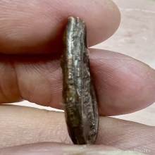 เหรียญหล่อคันธราชใบข้าว พ่อน้อย ธรรมศาลา นฐ รุ่นแรก