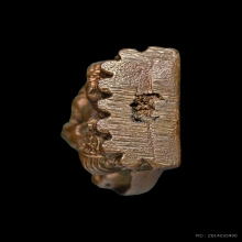 พระพิฆเนศอาจารย์ อนันต์ สวัสดิสวนีย์