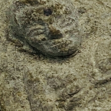 หลวงปู่ทวดนวล วัดตุยง จ.ปัตตานี ปี 2505-07 สวยแชมป์