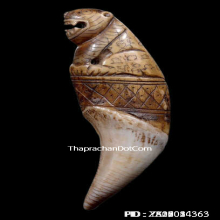 เขี้ยวเสือหลวงพ่อนก วัดสังกะสี ยุคต้นเก่ามาก