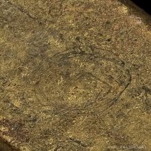 พระหลวงปู่ศุข วัดปากคลองมะขามเฒ่า พิมพ์ตัดชิดใหญ่