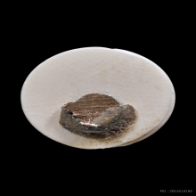 หนุมานหลวงปู่ทิม อิสริโก แกะจากงาช้าง อุดผงพรายกุมาร ปี2564