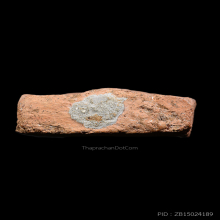 พระหลวงพ่อปาน กรุวัดดงตาล ปี พ.ศ. 2474