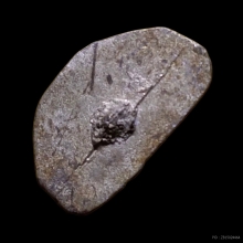 รูปหล่อโบราณ ลูกเสือชาวบ้าน  หลวงพ่อมุ่ย วัดดอนไร่  เนื้อชิน