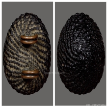 เบี้ยแก้ หลวงปู่เจือ วัดกลางบางแก้ว ( ยุคต้น )