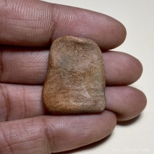 พระหลวงพ่อสุ่น วัดบางปลาหมอ อยุธยา  เนื้อดิน