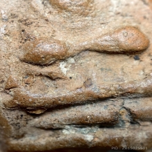 พระหลวงพ่อสุ่น วัดบางปลาหมอ อยุธยา  เนื้อดิน