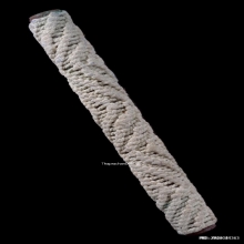 ตะกรุดมหาจักรพรรดิ์หลวงปู่ดู่ วัดสะแก จ.พระนครศรีอยุธยา