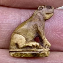 เสือพ่อปาน เขี้ยวซีกจารย์เต็ม เก่าแท้แห้ง สมบูรณ์