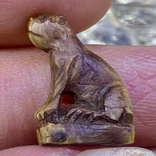 เสือพ่อปาน เขี้ยวซีกจารย์เต็ม เก่าแท้แห้ง สมบูรณ์