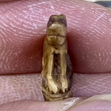 เสือพ่อปาน เขี้ยวซีกจารย์เต็ม เก่าแท้แห้ง สมบูรณ์