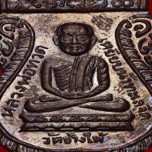 ใต้ร่มเย็น บล๊อควัด หลังไหล่ขีด ผิวปีกแมงทับทั้งหน้า-หลัง  