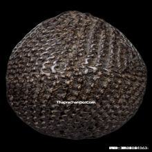 ๑ในเบญจภาคีเครื่องราง เบี้ยแก้ หลวงปู่รอด วัดนายโรง