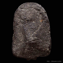 แชมป์ หน้ากรรมการ 1/1