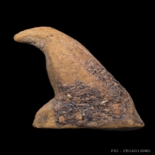 นกสาริกา หลวงพ่อสนิท วัดลำบัวลอย 