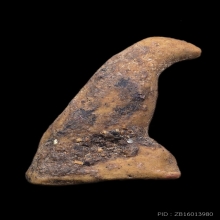 นกสาริกา หลวงพ่อสนิท วัดลำบัวลอย 