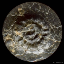 ล็อกเก็ต หลวงปู่โต๊ะ