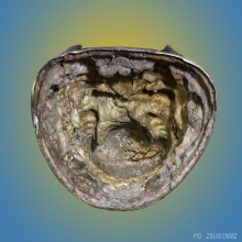 90 ปี ไต้ฮงกง ปี 2543