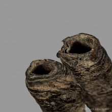 ตะกรุดด้ายสายสิญจน์ หลวงปู่ยิ้ม วัดหนองบัว จ.กาญจนบุรี