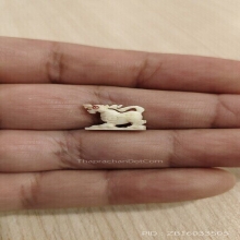 สิงห์ขวัญกลึงตัวเล็กจิ๋ว