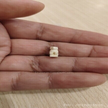 สิงห์ขวัญกลึงตัวเล็กจิ๋ว